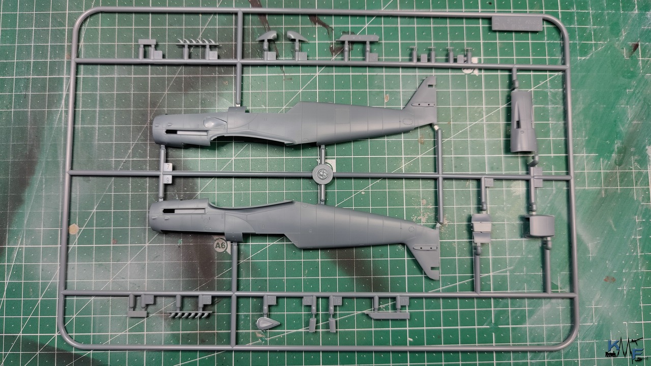 BV-EDUARD-BF109K_36.jpg