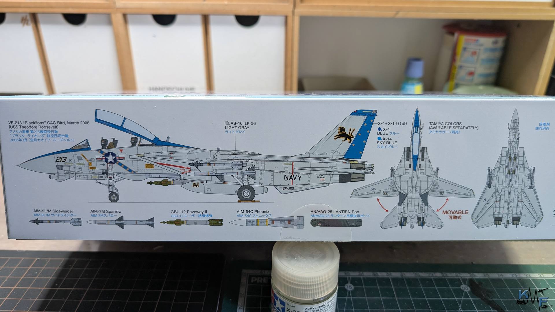 BV-TAMIYA-F-14D-02