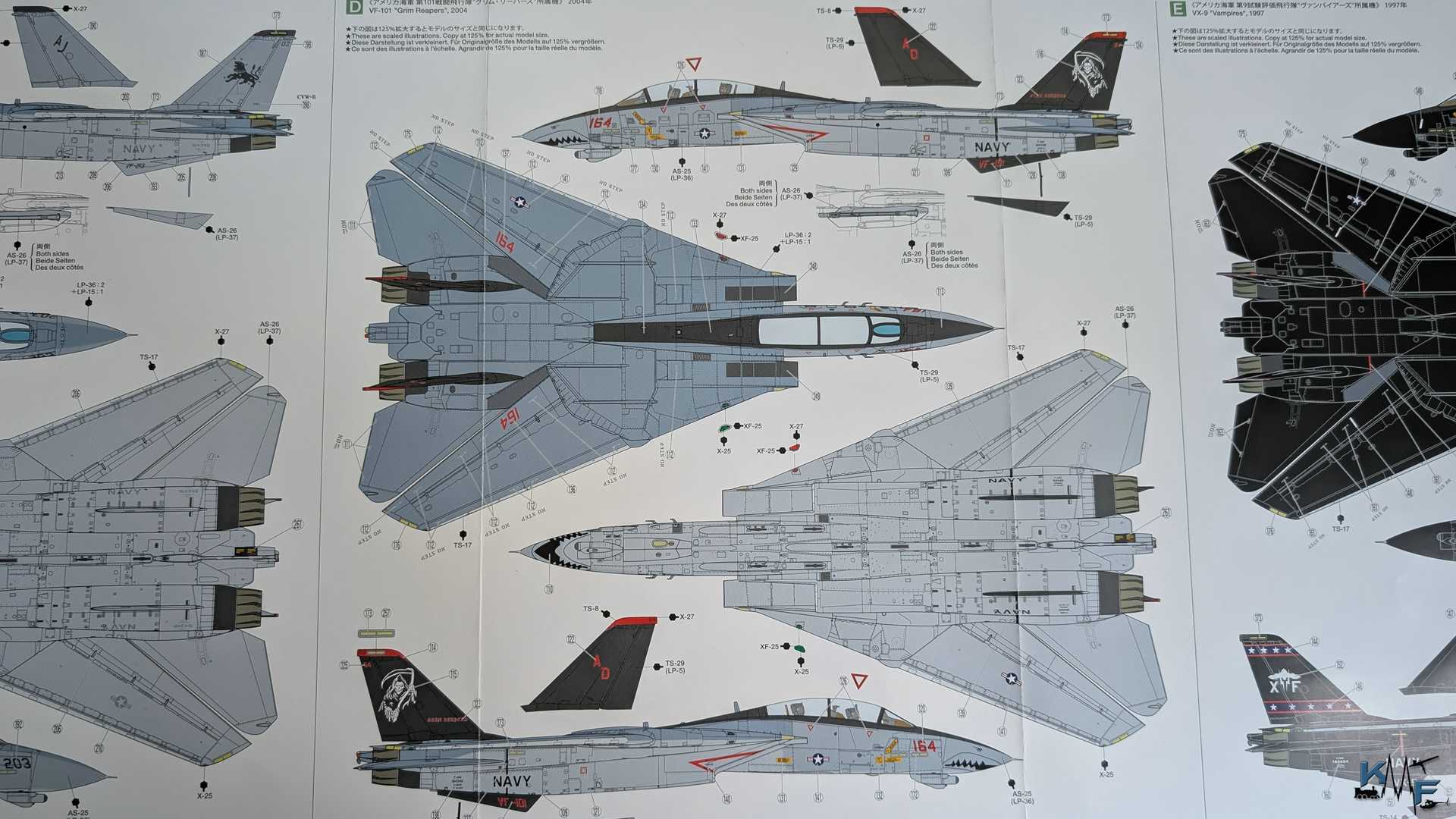 BV-TAMIYA-F-14D-19