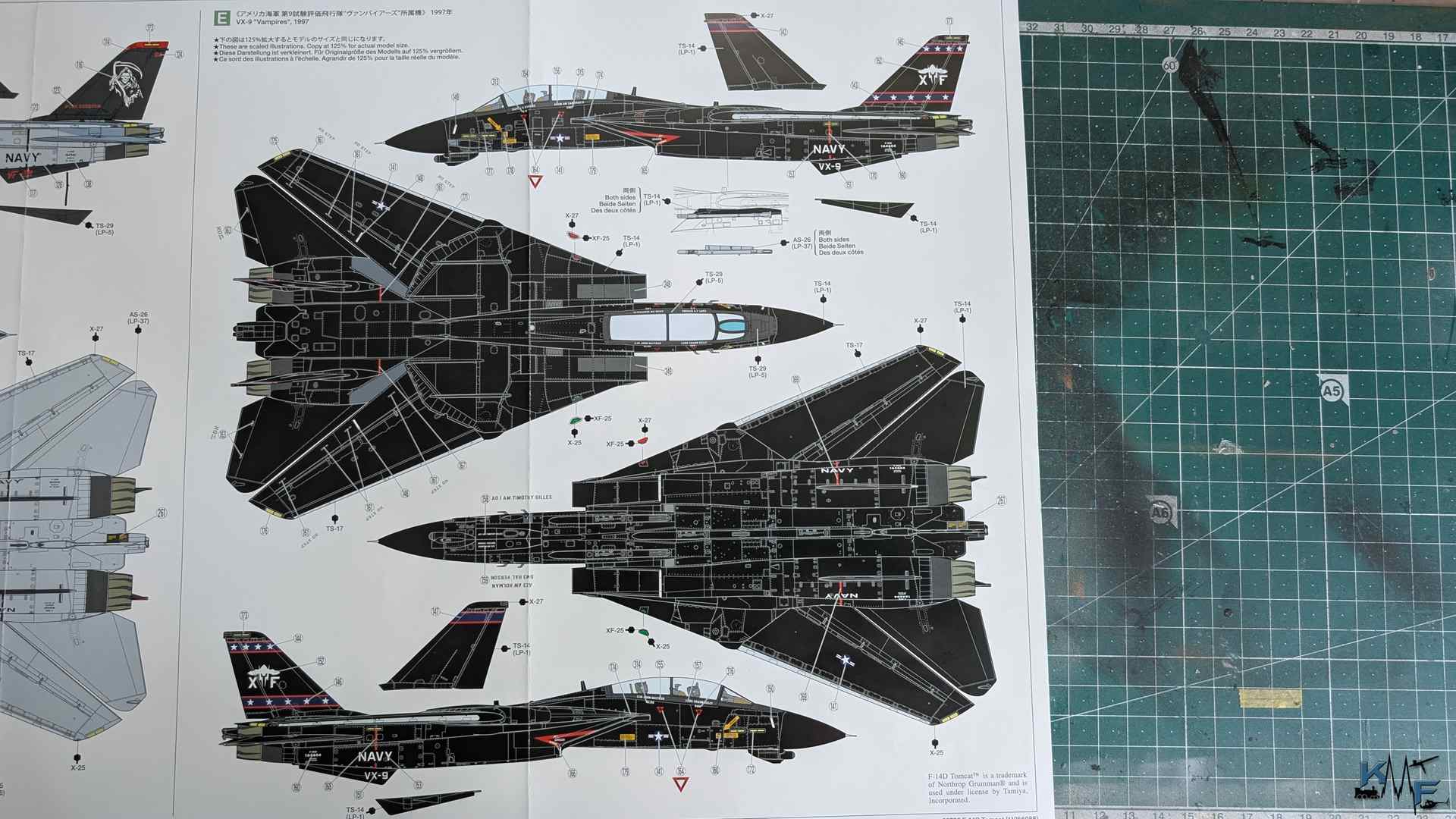 BV-TAMIYA-F-14D-20