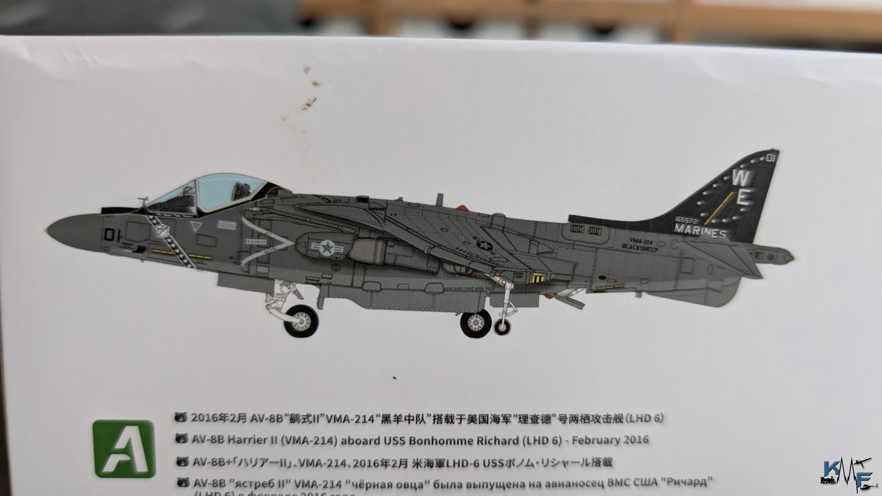 BV-UMA-AV-8B-HARRIER-II-Plus_03