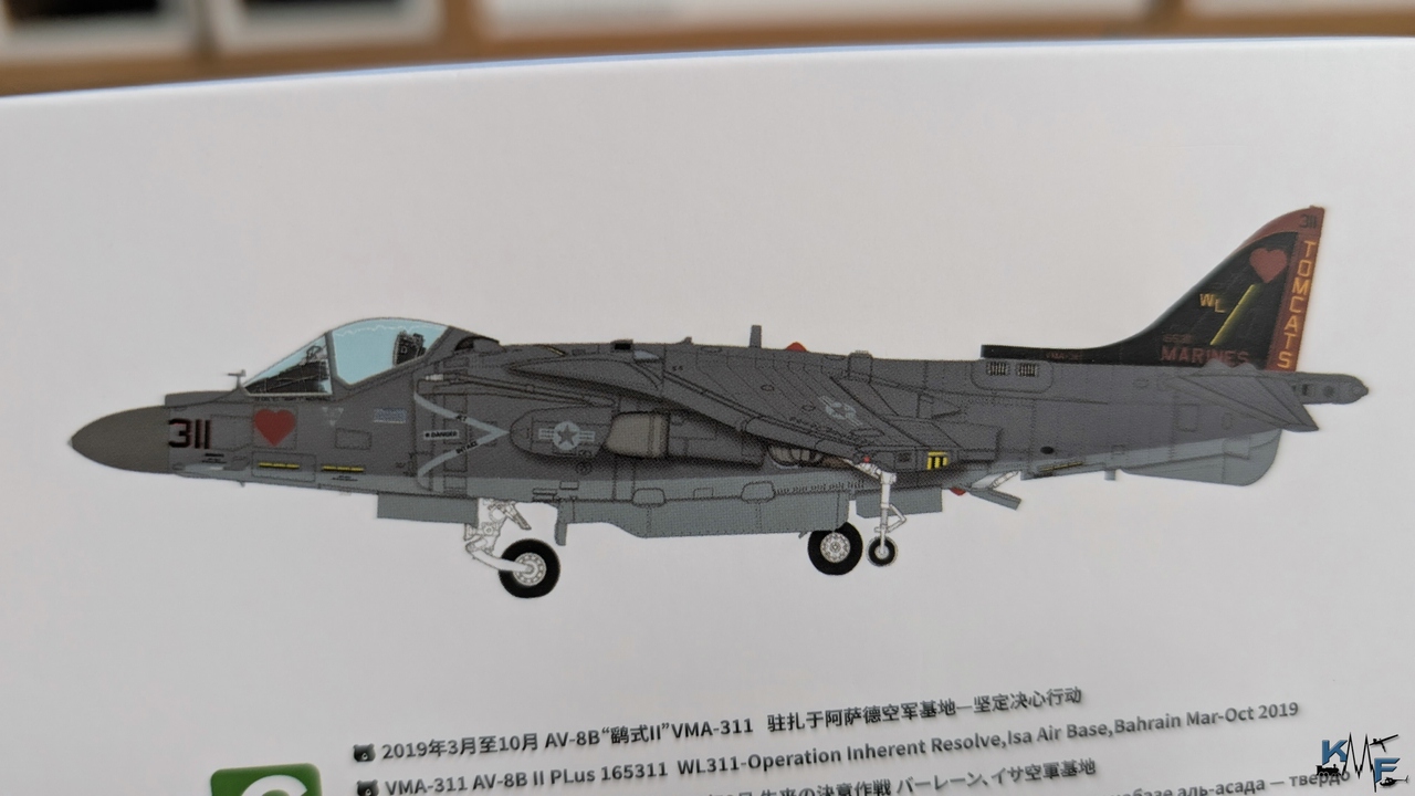 BV-UMA-AV-8B-HARRIER-II-Plus_05
