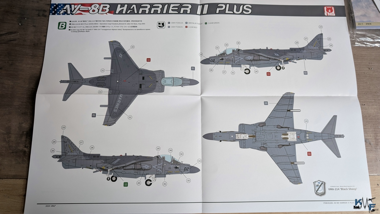 BV-UMA-AV-8B-HARRIER-II-Plus_20