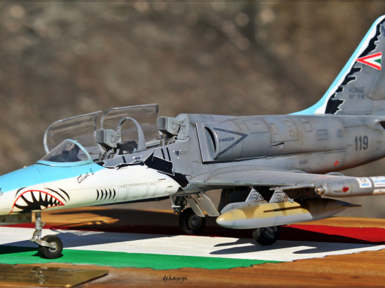 L-39 Hungarian AirForce