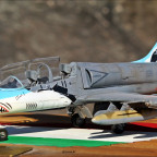 L-39 Hungarian AirForce